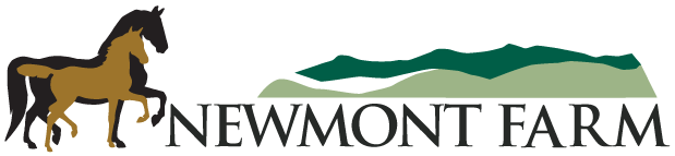 Newmont Farm Morgans