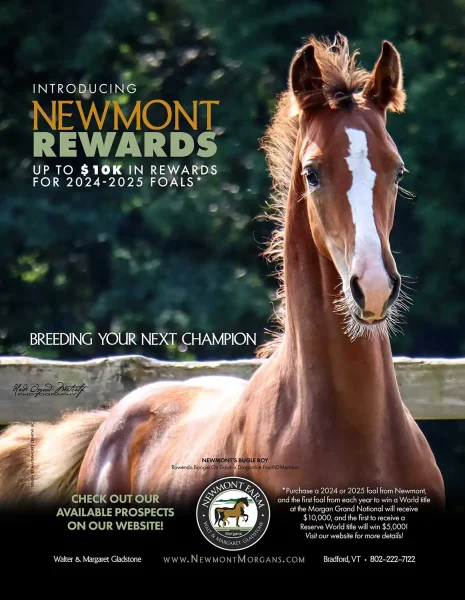 Newmont Rewards