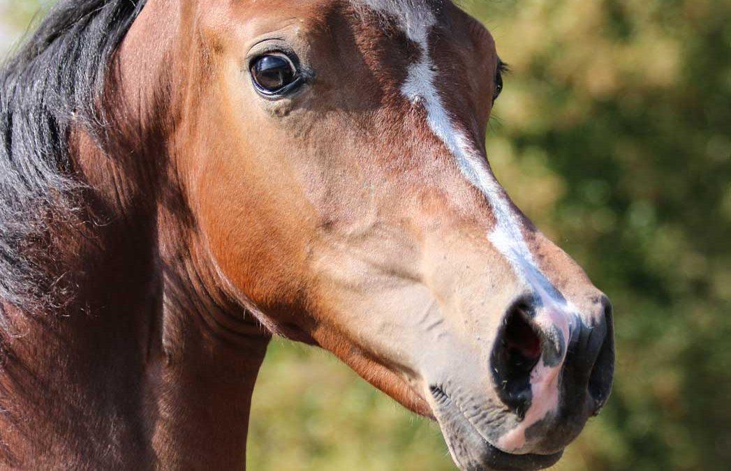 Newmont’s Best Dressed