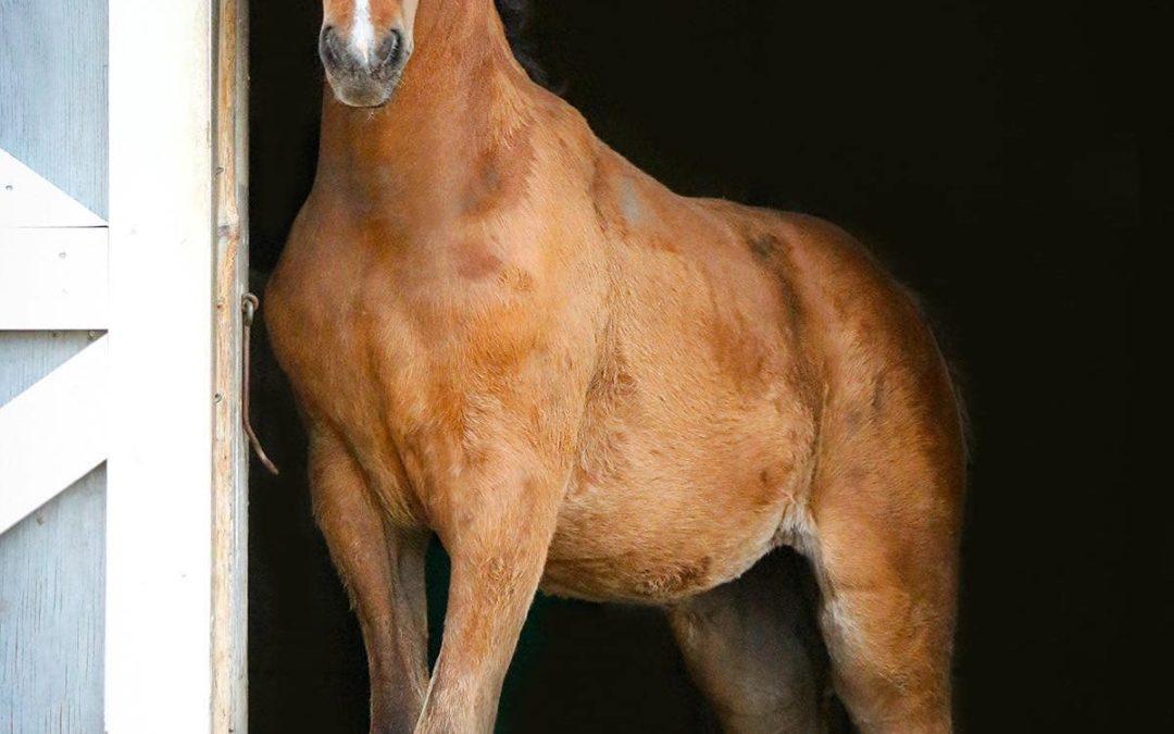 Newmont’s Rhapsody In Blue