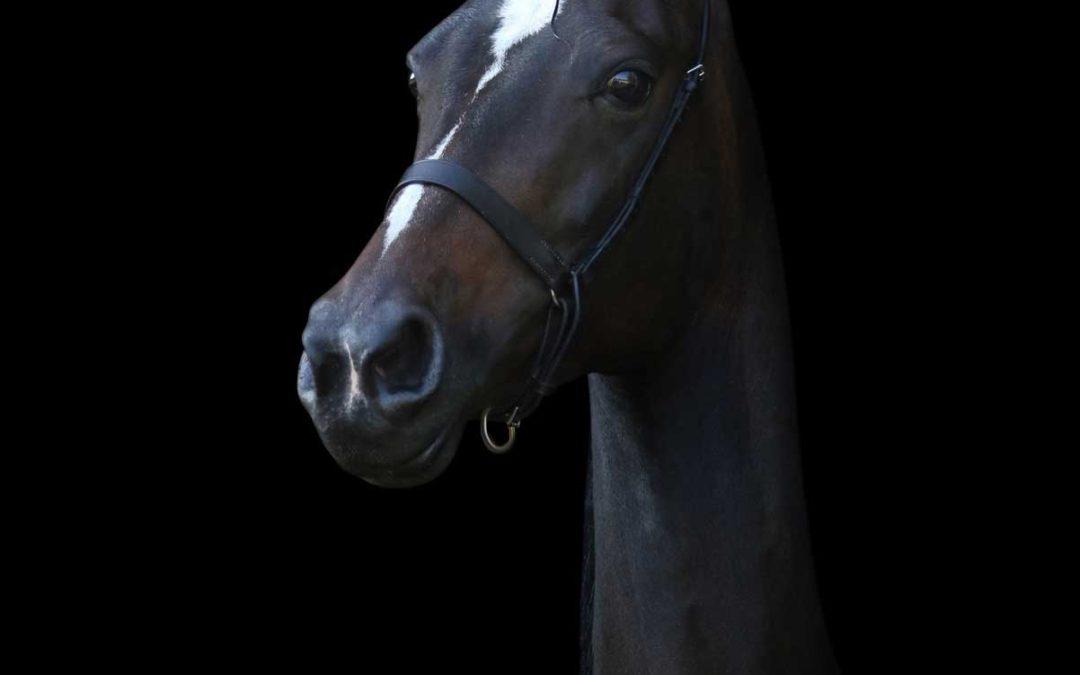 Valley Acres Watch This