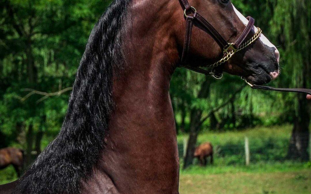 Newmont’s Right Angle