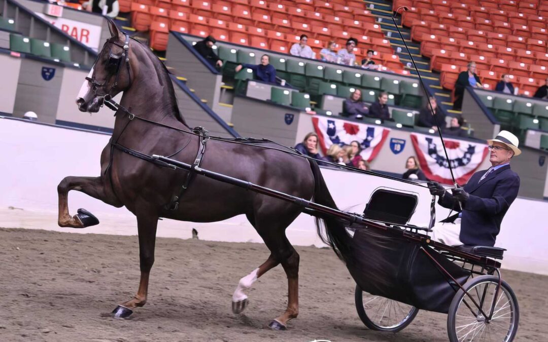 Newmont’s Creation