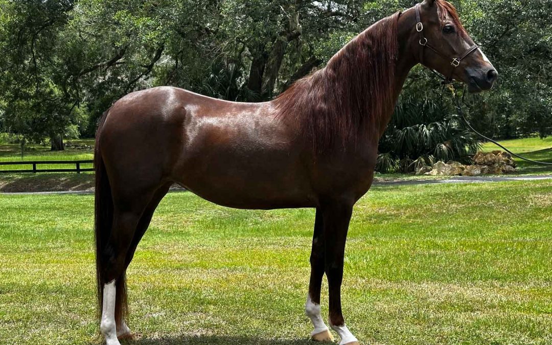 Newmont’s Cover Girl