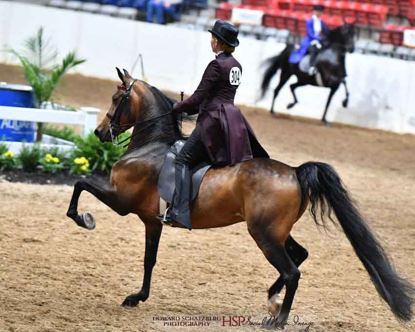 Maewyn Le Reve
